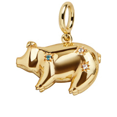 Just For Fun Cluster Charm - Piggie