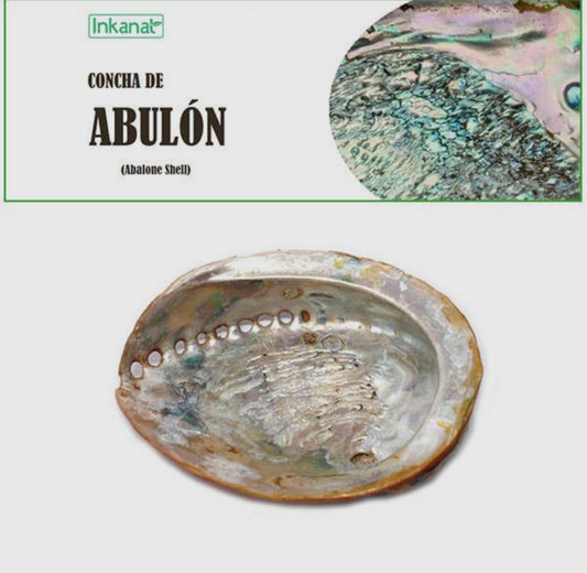 Abalone skjell