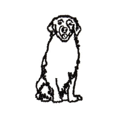 Golden Retreiver Icon
